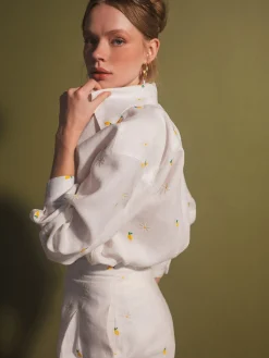 Button Down Shirt