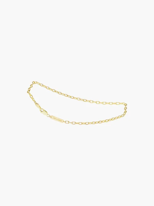 Linked Up Anklet