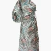 Pancy Dress