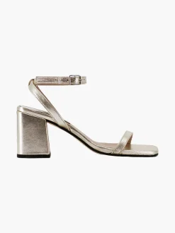 The Elevated Essential